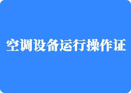 骚逼夹住大鸡吧抽插免费视频看制冷工证